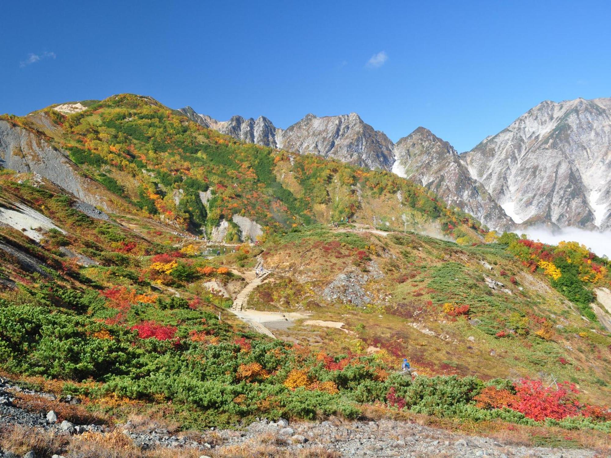 Kudo'S Lodge Hakuba Exterior foto